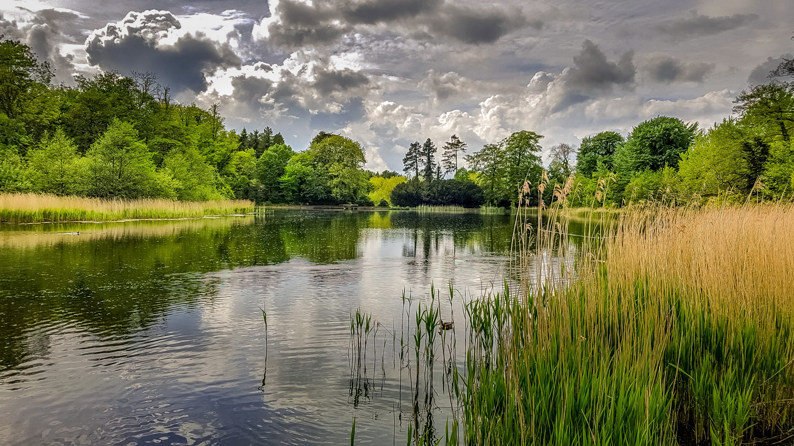 View across the lake at Stanton Country park near Swindon, Wiltshire